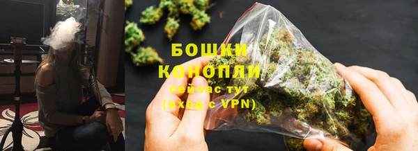 ПСИЛОЦИБИНОВЫЕ ГРИБЫ Волосово