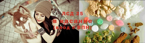 ПСИЛОЦИБИНОВЫЕ ГРИБЫ Волосово