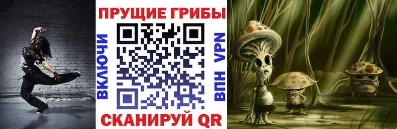 Галлюциногенные грибы прущие грибы  Купить закладки  Лесосибирск 